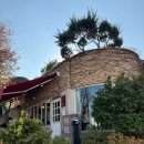 수원-0798 | 수원 피자 맛집 로우파이브, 주말 캐치테이블 웨이팅 후기