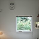 스테이 무림 이미지