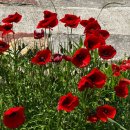 비버랑토리랑한의원 이미지