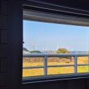 애월과 한림사이 | 제주도 감성 숙소 애월과한림사이 펜션 내돈내산 강력추천