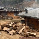 자연속의흙집 이미지