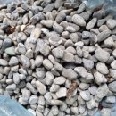 자갈농장 이미지