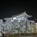 손한나의원 | 31알🥚