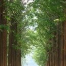 그림책과 공예 놀이터 이미지