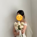 은헤어 | [웨딩촬영 헤어변형] 헤이브다은 헤어변형 후기(그림비스튜디오)