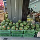 우림청과