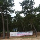 항호 이미지