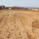 안산천남1로 이미지