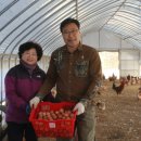 이화농장 이미지