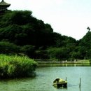 우리복사 이미지