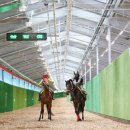 큰언덕목장 이미지