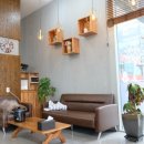 마리머리 이미지