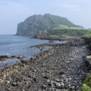 코코마라 이미지