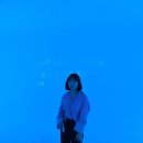 더크로와상 이미지