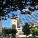 6103 | 코엑스에서 인천공항으로 바로 갈 땐? 공항버스 6103번 탑승 후기