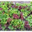 늘푸르름농장 이미지