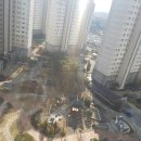 엘에이치아파트4단지 이미지
