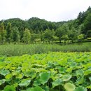 꿈나무공원 화장실 이미지