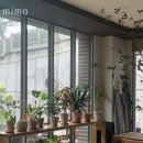 반포대로34길 14 | 서초동꽃집 mimo 가격 위치 영업시간