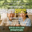 현대에이치엔씨공인중개사사무소 이미지
