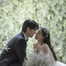 누보 nuvo 이미지