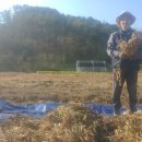 김명선농장 이미지