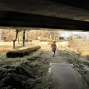 율량사천동 행정복지센터 | 2022.03.04. [청주 트레일 25] 충북 청주 율량천 수변산책로(4)