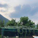 그린에덴펜션 이미지