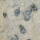 가평군농업기술센터 이미지