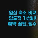 임실힐링펜션 | 끝 | 인기 숙소 3곳 임실힐링 하이디 비교 분석 완벽...압도적 가성비 솔직 후기 | 꼭 알아야 할 예약 꿀팁