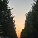 방천산곰장어