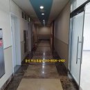 둔산중로-48 이미지