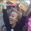 공룡김밥 이미지