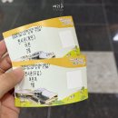 거창백두대간생태교육장 | 광주 근교 남원 아기랑 실내 가볼만한곳 백두대간 생태교육장, 숲속놀이터 후기