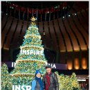 탄넨바움 이미지