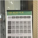 필라테스 요가 이미지