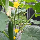 동화나라 이미지