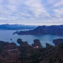 게으른 악어 이미지