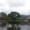 거울공원 Daum카페