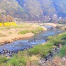 어제의 그림 오늘의 인문학 이미지