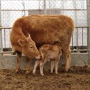 소로3-162 이미지