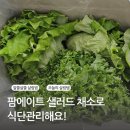 팜에이트 샐러드로 식단 관리! 유러피안 샐러드 꾸러미 내돈내산 후기