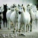 맞춤형 화장품 조제관리사 자격증 이미지