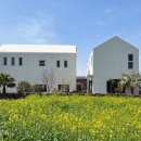 안목스테이 이미지