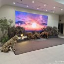 노원문화예술회관 | 푸른 사자 와니니 뮤지컬 관람 후기 (노원문화예술회관 공연)