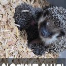 와우펫앤쥬 양산점 이미지