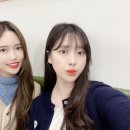 부타우동 이미지