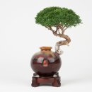화순군시설관리사업소(하니움문화스포츠센터)이용대체육관 | 전라남도 화순군 화순읍 대리 456 시설관리사업소 방송및통신시설
