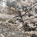 초안산 하늘꽃정원 이미지