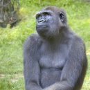 서울대공원 이미지